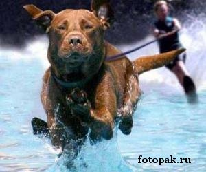 Спорт 024