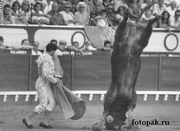 Спорт 062