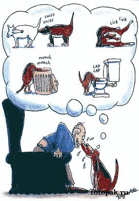 Юмор 061