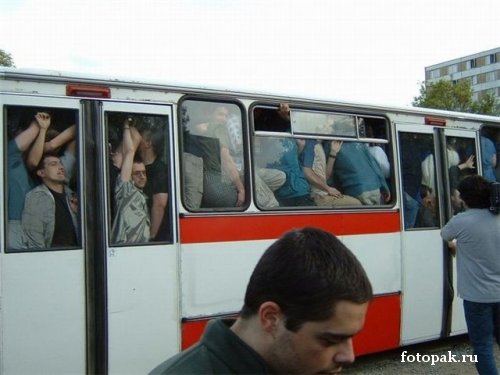 Авто 019