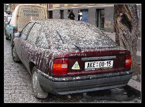 Авто 092