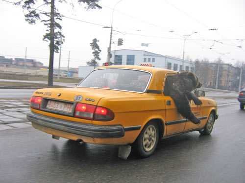 Авто 134