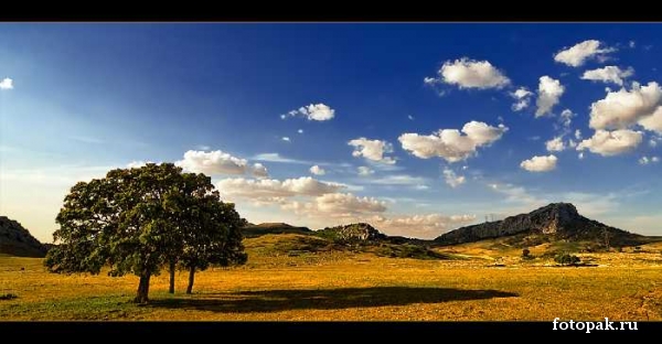 Природа 069
