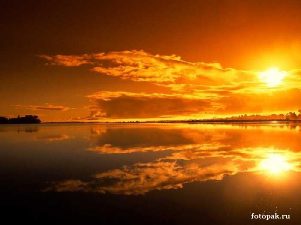 Природа 071
