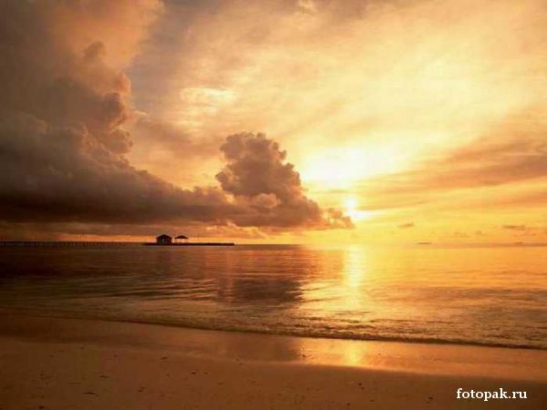 Природа 073